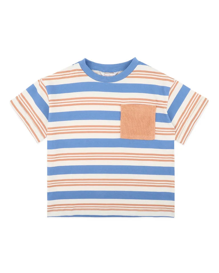 Phoenix Stripe Tee