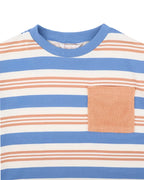 Phoenix Stripe Tee