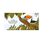 Sassi Board Book Sweet Sounds - The Jungle