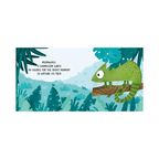 Sassi Board Book Sweet Sounds - The Jungle