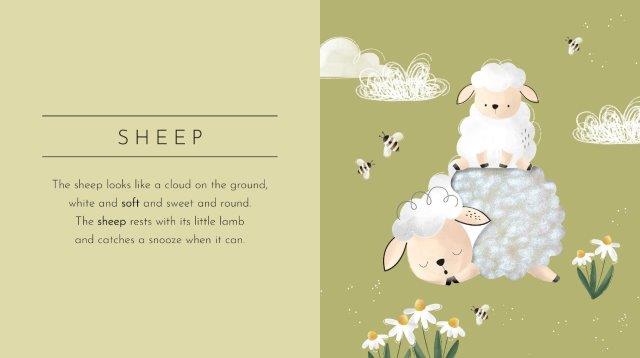 Touch and Feel Pocket Book - Animals