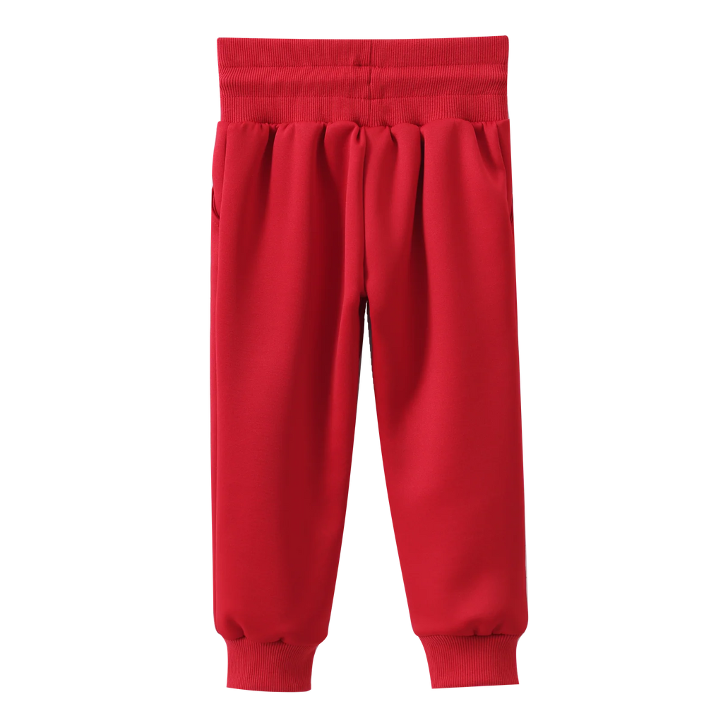 Scarlett Active Pants - Cherry