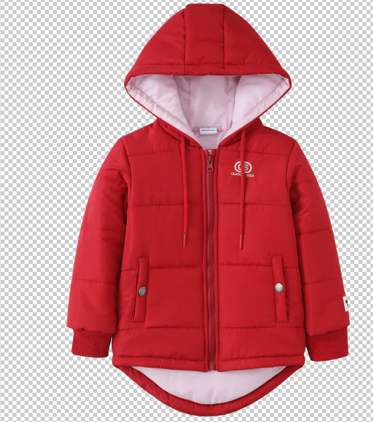 Scarlett Detailed Hooded Puff Jacket