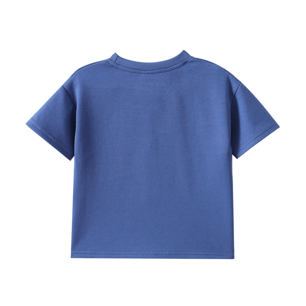 Jacob Multi Tee - Blue/Pebble