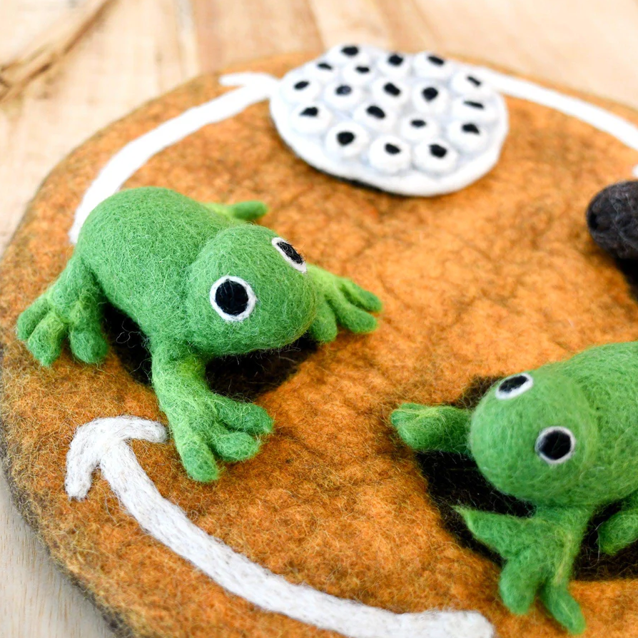 Felt Life Cycle of Frog