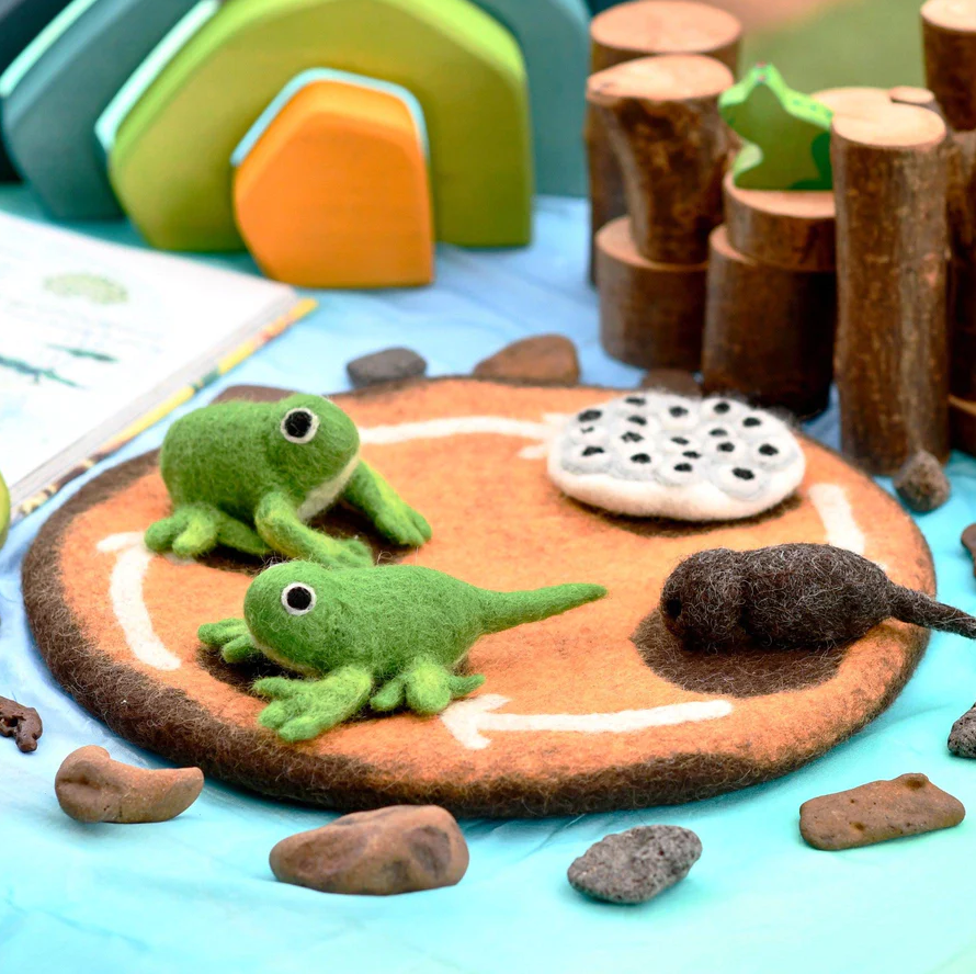 Felt Life Cycle of Frog