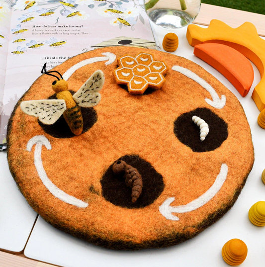 Felt Life Cycle of Honey Bee