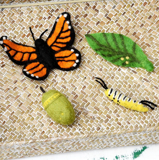 Felt Life Cycle of Monarch Butterfly