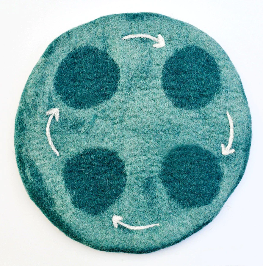 Felt Life Cycle Tray Play Mat - Water