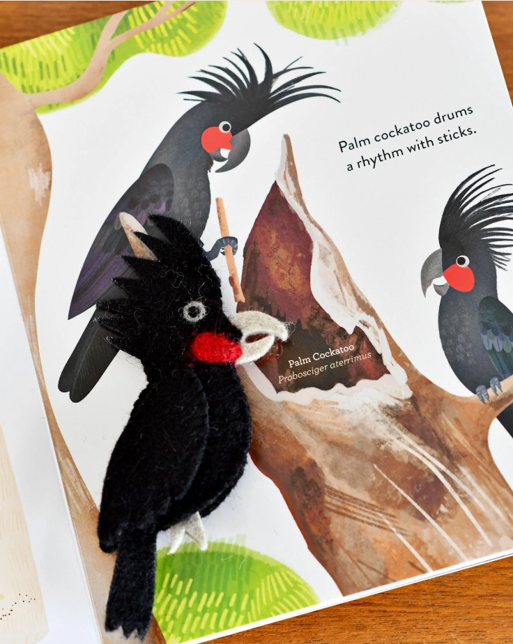Busy Beaks Finger Puppet and Book Set by Sarah Allen