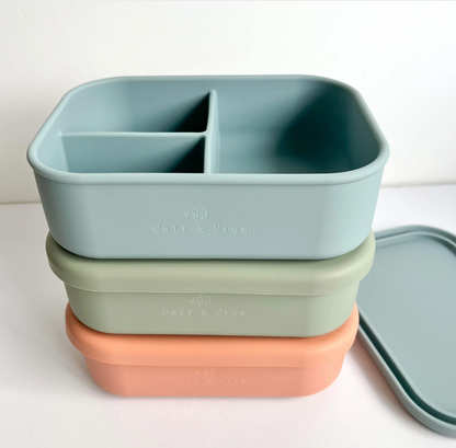 Silicone Bento Box - Assorted