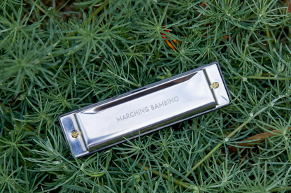 Harmonica