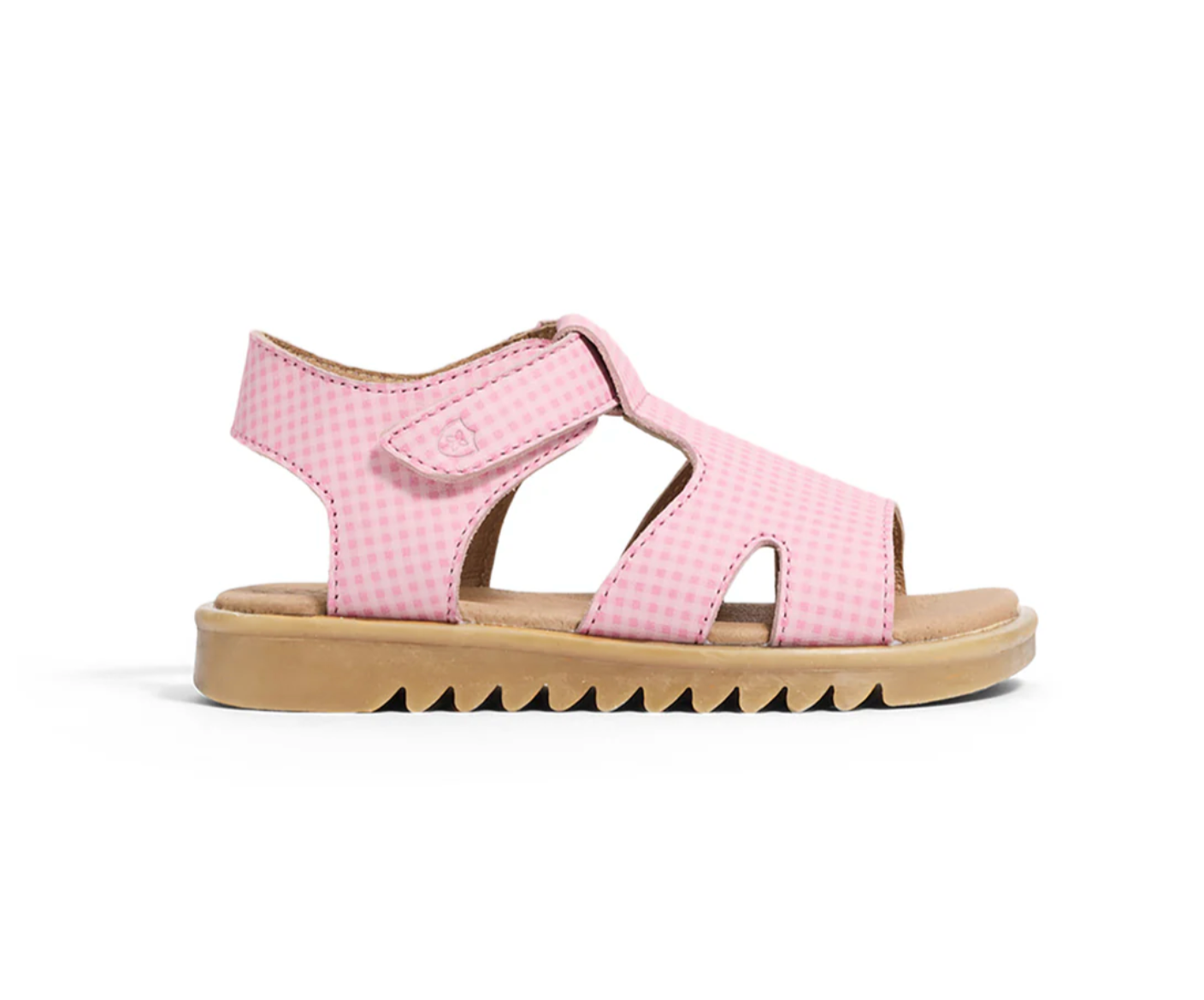 CLEO Candy Picnic