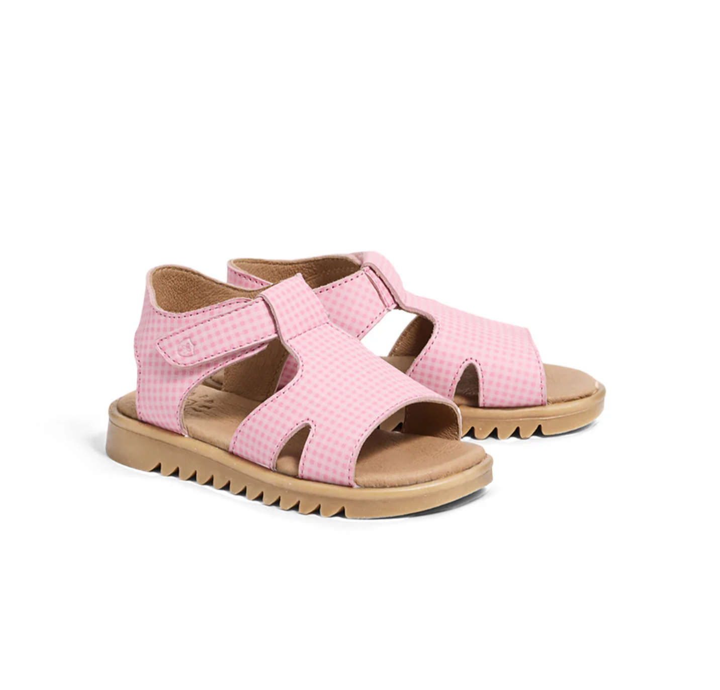 CLEO Candy Picnic