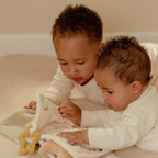 COMING SOON Newborn Naturals Goose Stroller Book