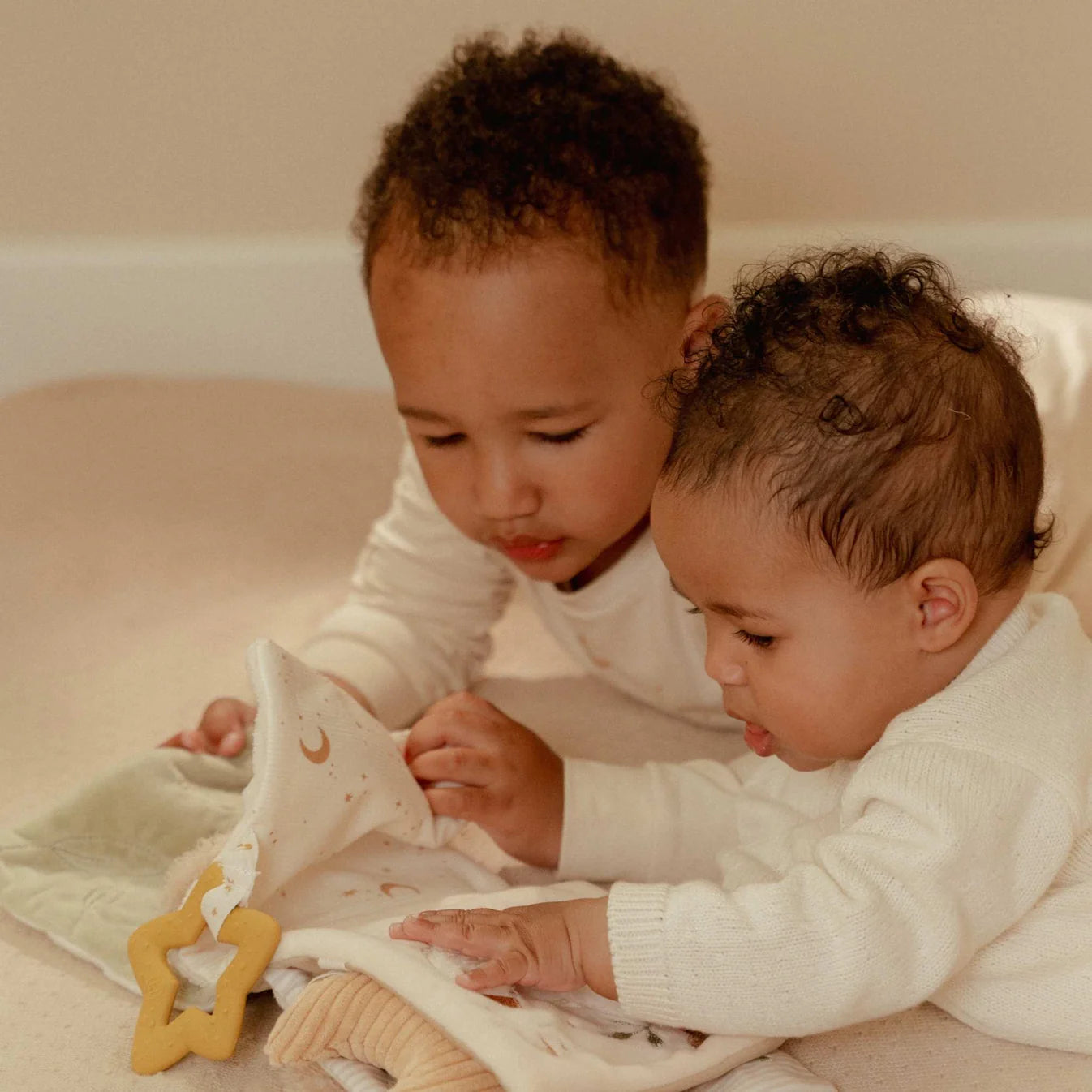 Goose Stroller Book - Newborn Naturals