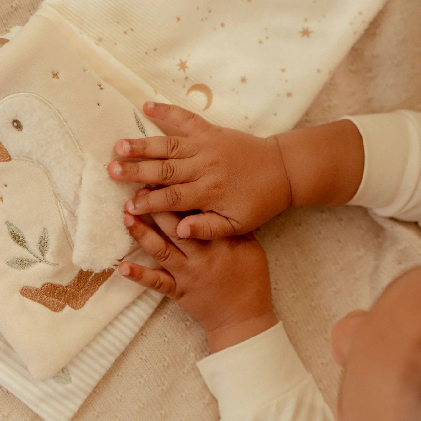 Goose Stroller Book - Newborn Naturals