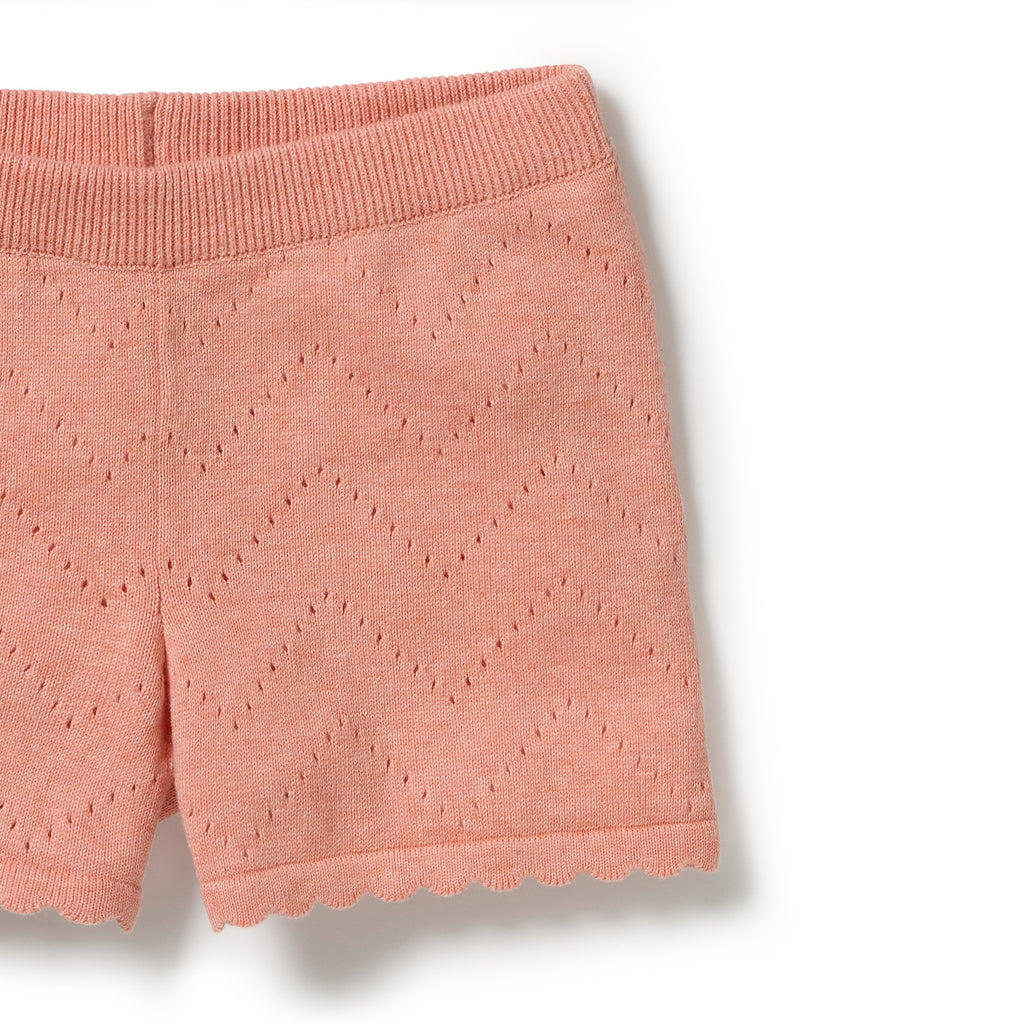 Petal Pink Organic Knitted Pointelle Set