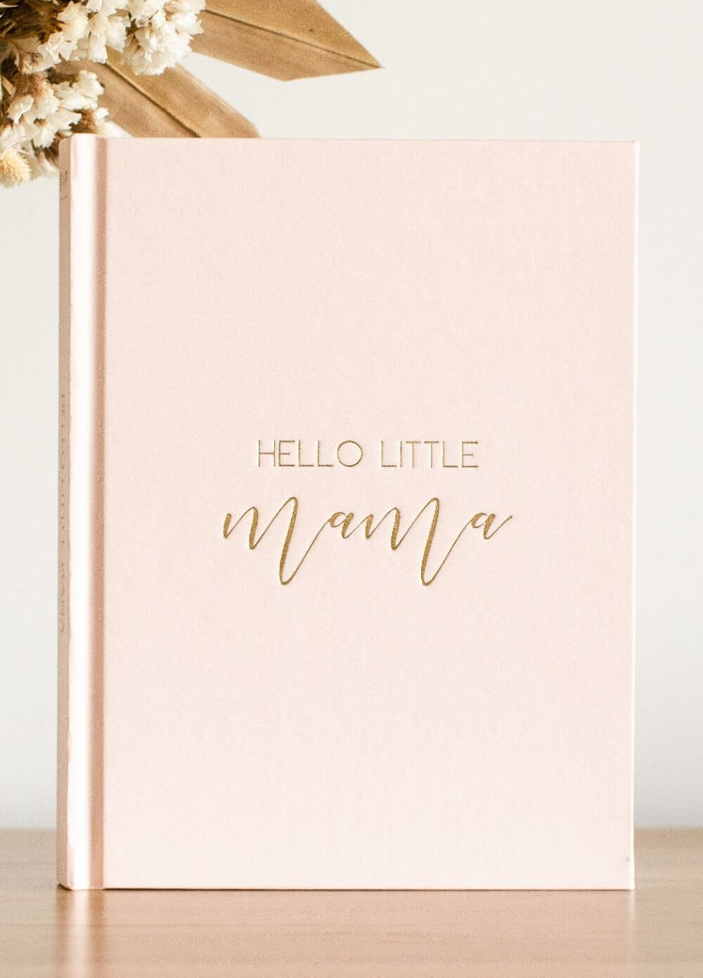 Hello Little Mama Pregnancy Journal - Assorted