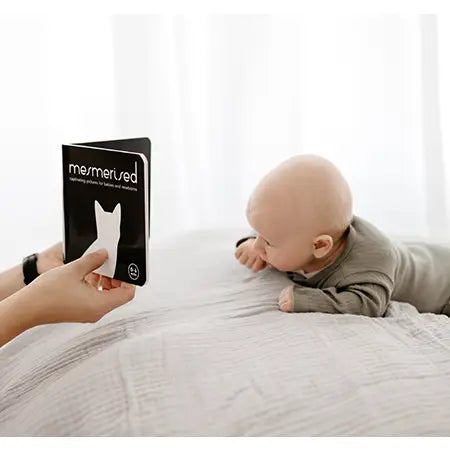 Mesmerised Black and White Baby Board Book