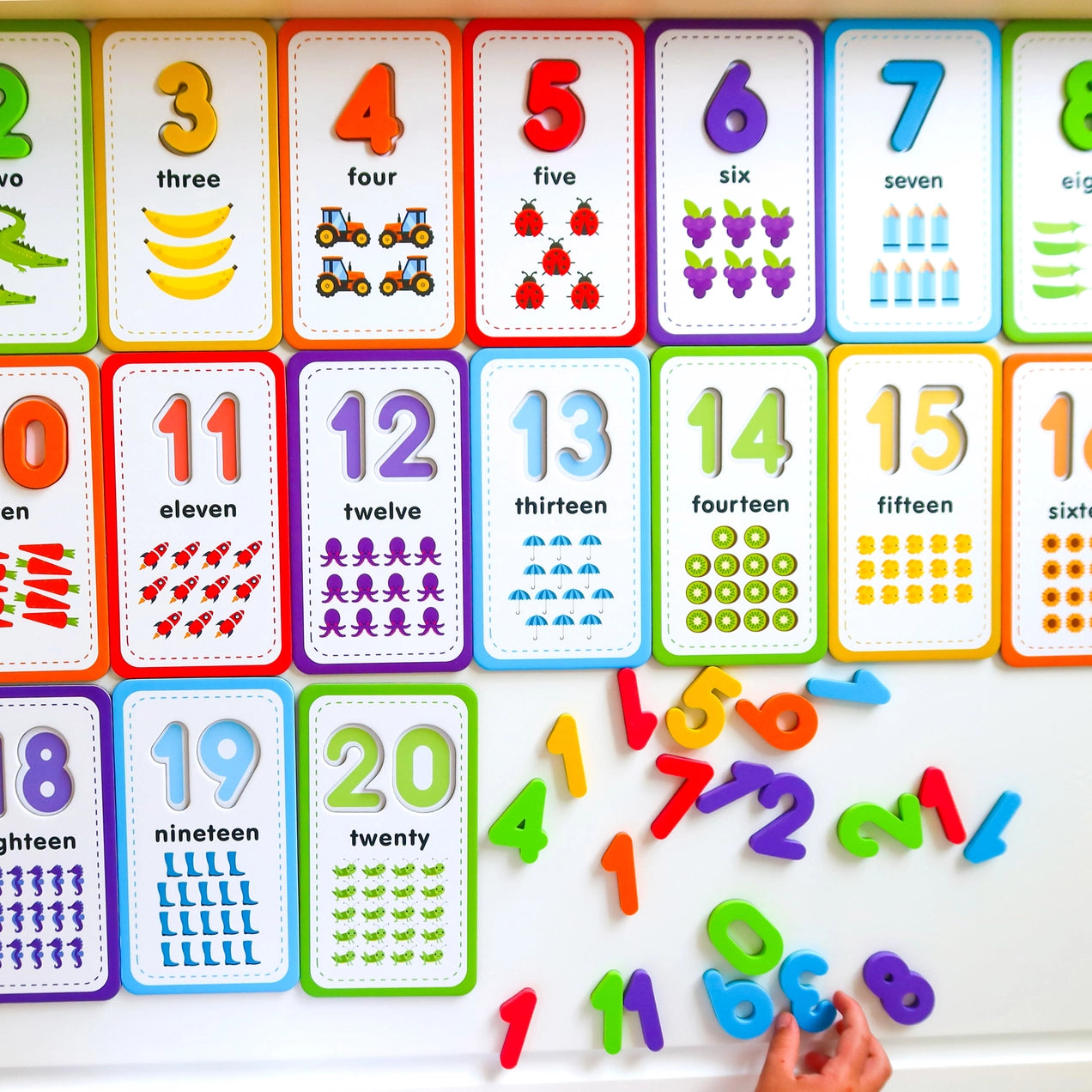 Flashcards & 123 Magnetic Numbers