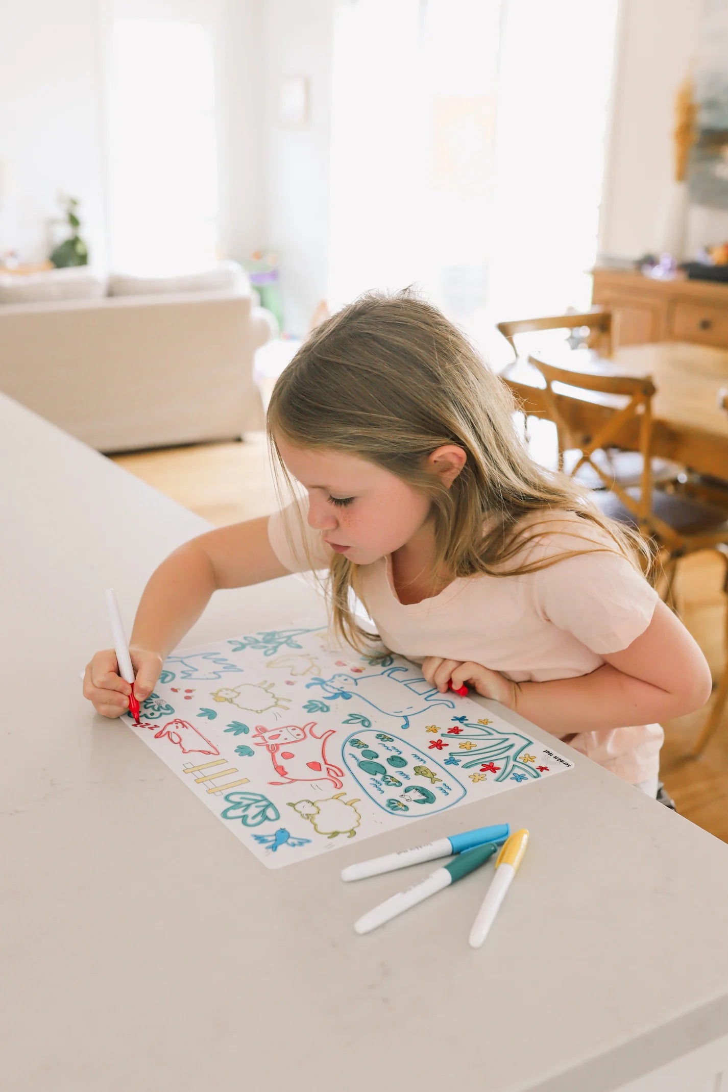 Scribble Mat - On the Farm