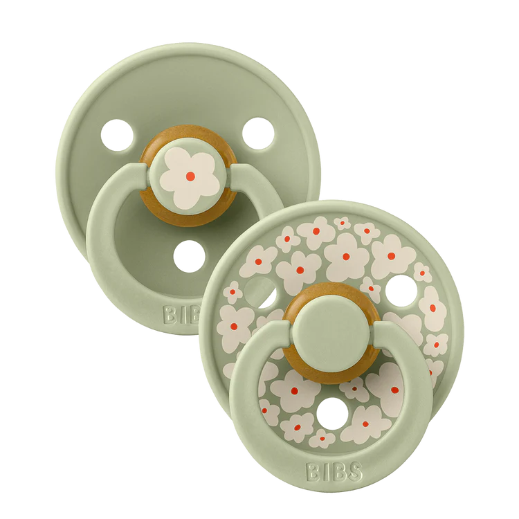 Studio Colour, S2 (2pk) - Assorted