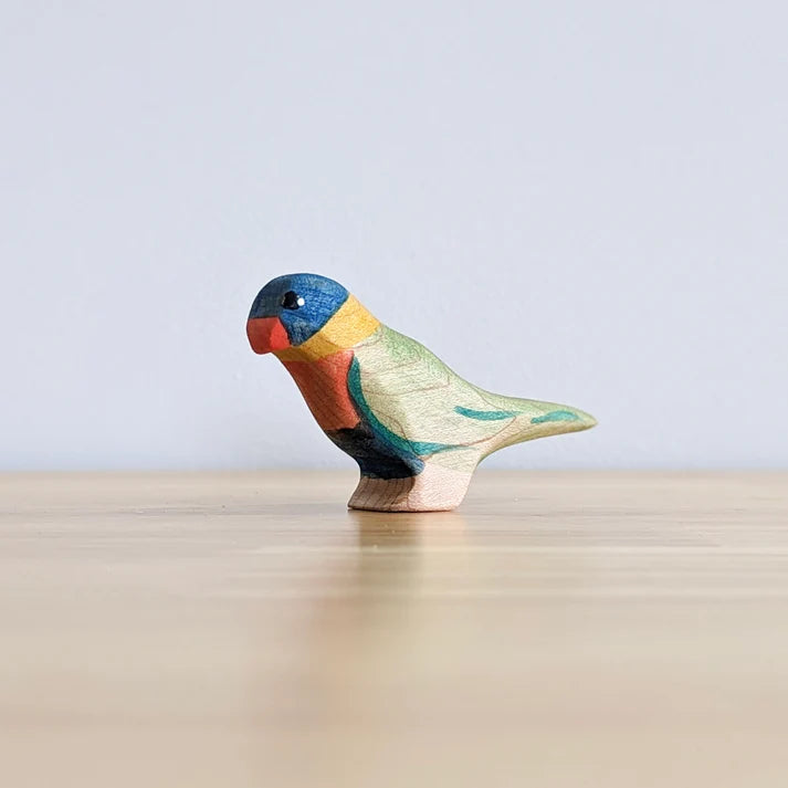 Rainbow Lorikeet