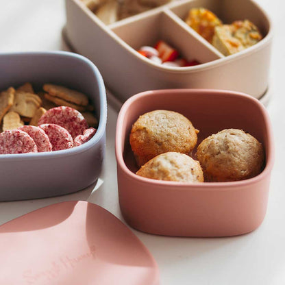 Silicone Snack Box - Assorted