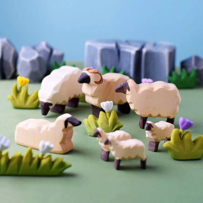 Sheep Eating