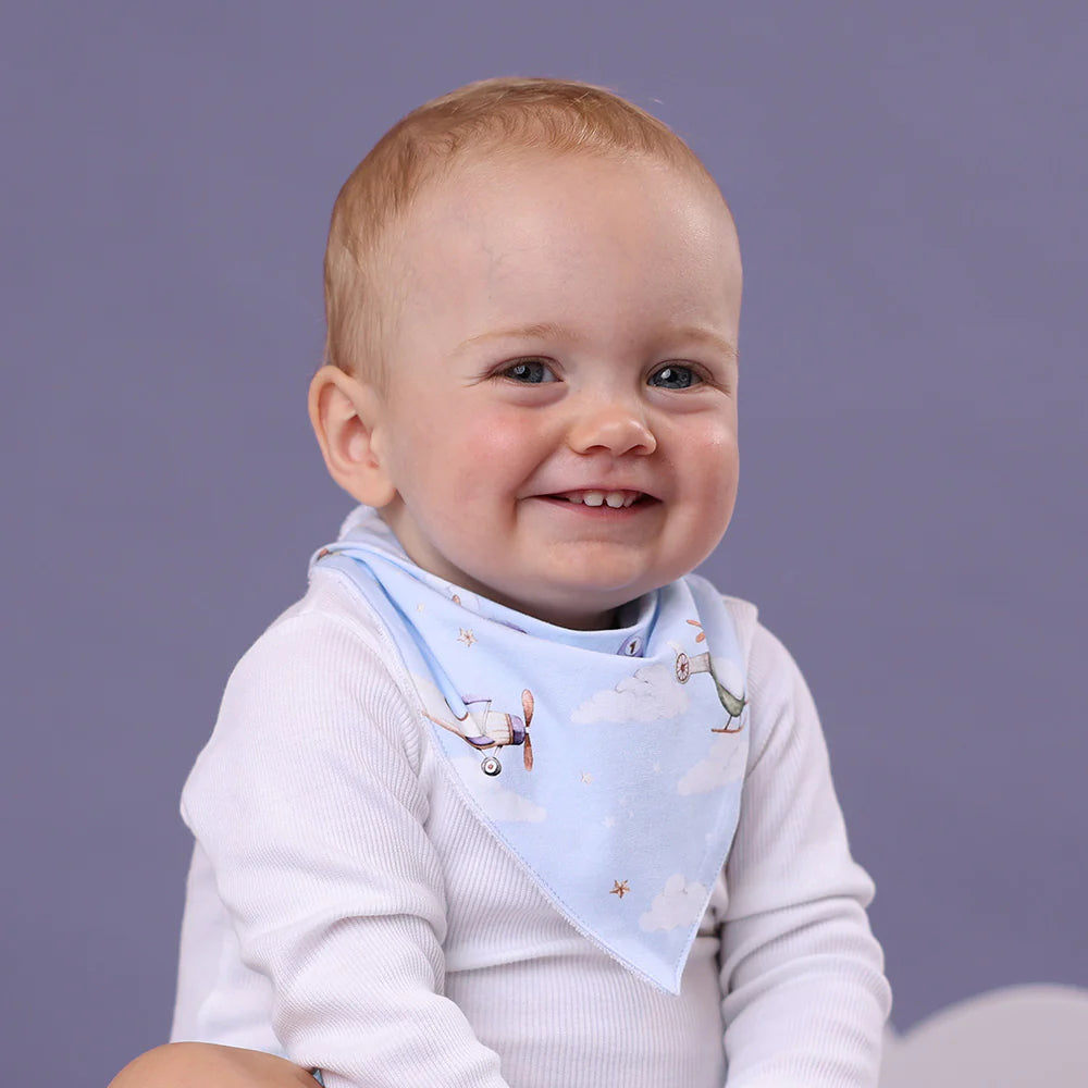 Taking Flight Organic Dribble Bib