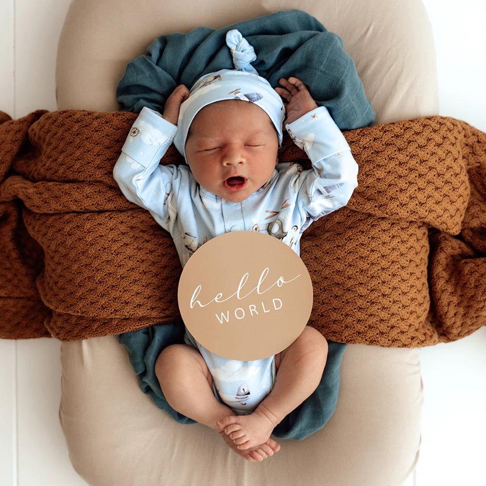 Taking Flight & Pebble Reversible Milestone Cards