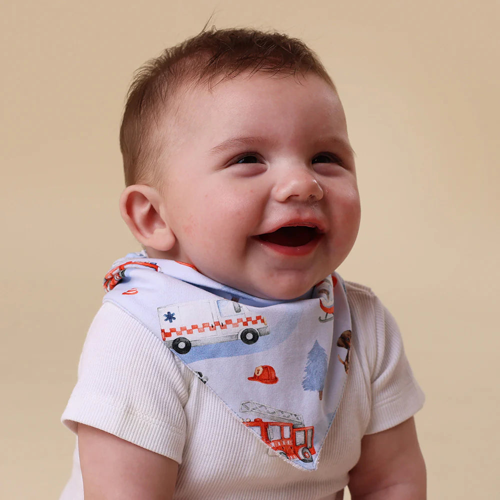 To The Rescue Organic Dribble Bib